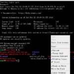 Web SSH利器之shellinabox